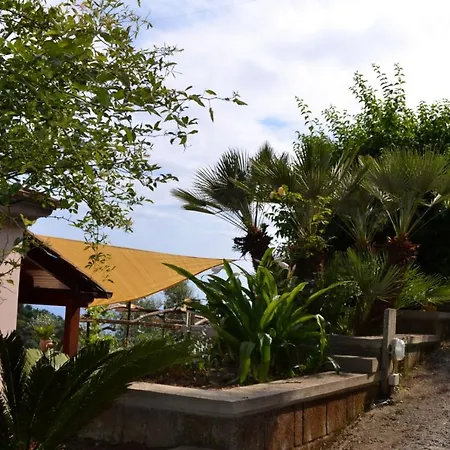 Domus Ars & Bed & Breakfast Massa Lubrense